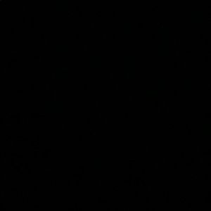 Meet your Posher, Lexi